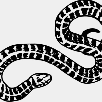 SNAKE009 Thumbnail