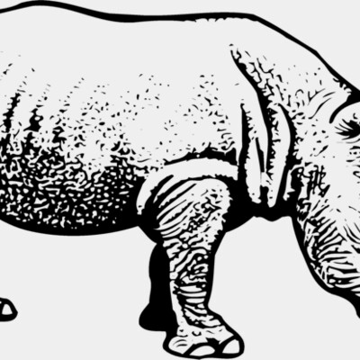 RHINO001 Thumbnail