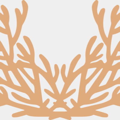 Sea Plants Thumbnail