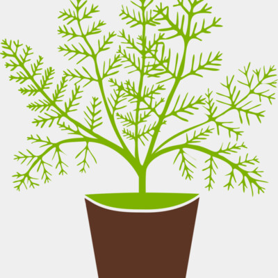 Plant Thumbnail