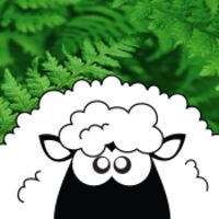 Crazy Kiwi Designs Thumbnail